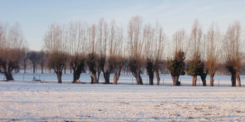 2009_01_paysage_neige_yvelines_plaisir_0006___800x600