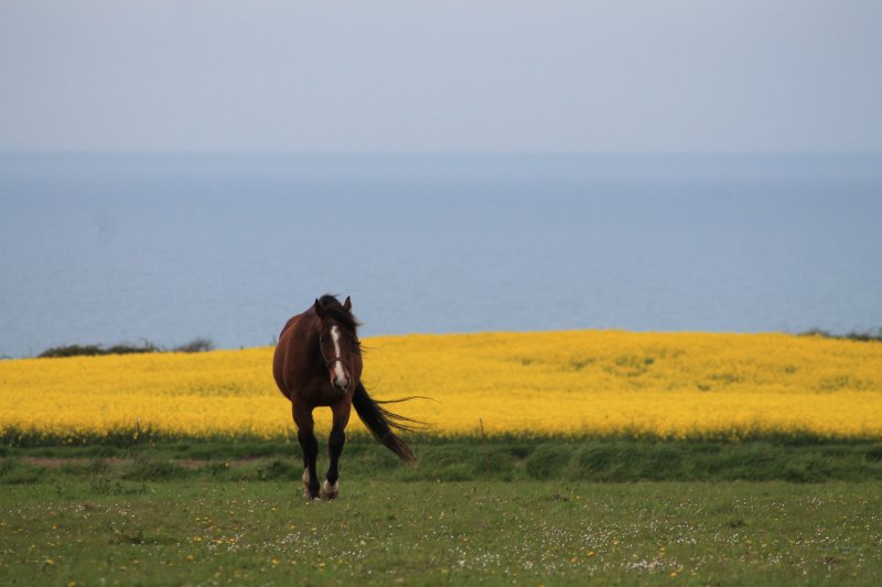 2013_05_yport_compil_76_photos_0022___800x600