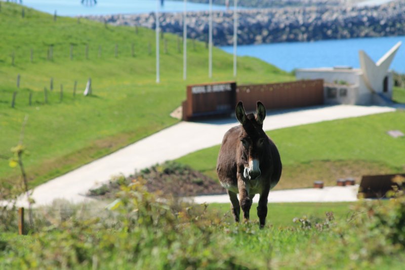 2013_05_yport_compil_76_photos_0076___800x600