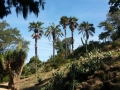 2015_sintra_parc_monserrate
